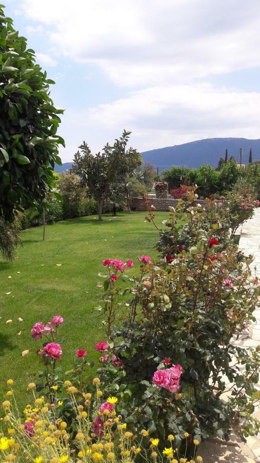 شقة Karantonis House ليونِذيو المظهر الخارجي الصورة